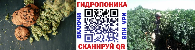 Canna-Cookies конопля  магазин продажи наркотиков  Наро-Фоминск 