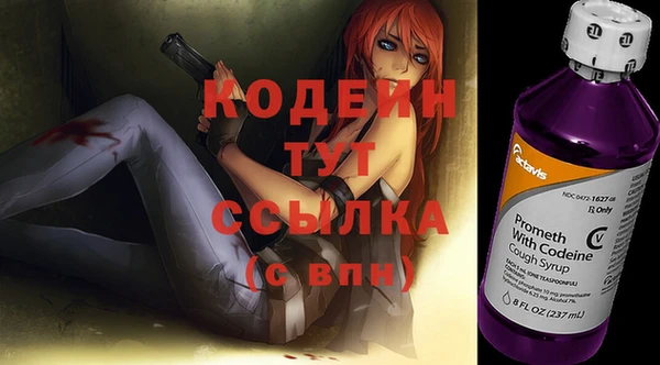 прущие грибы Богородск