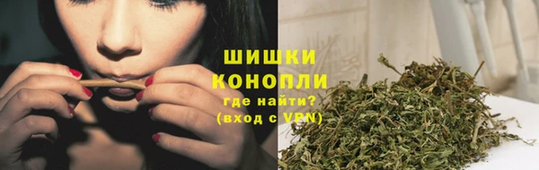 прущие грибы Богородск