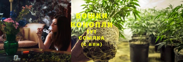 прущие грибы Богородск