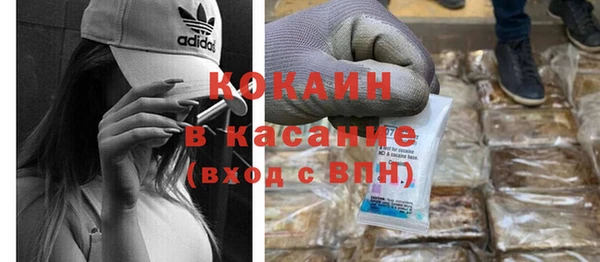 прущие грибы Богородск