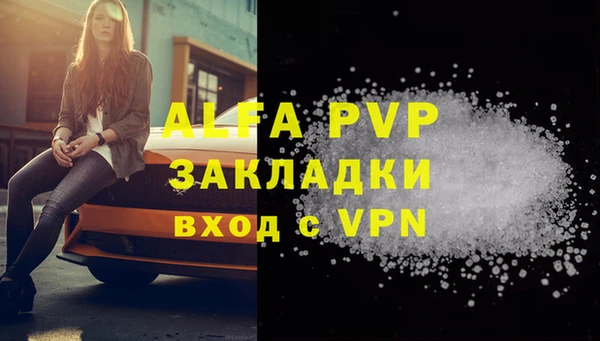 прущие грибы Богородск