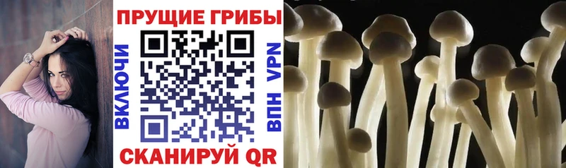 Псилоцибиновые грибы мицелий  MEGA как зайти  Наро-Фоминск 
